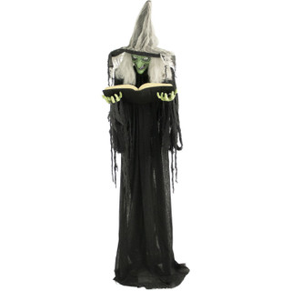 Haunted Hill Farm Life-Size Animatronic Witch, Indoor/Outdoor Halloween Decoration, Light-up Green Eyes, Talking, Battery-Operated