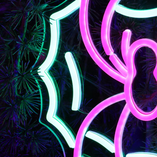 0.9-Ft. Neon Pink & Green LED Spider with Web Wall Decoration for Indoors & Covered Outdoors, Plug Operated