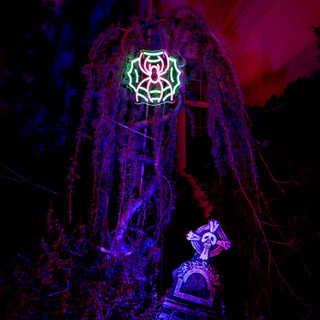 0.9-Ft. Neon Pink & Green LED Spider with Web Wall Decoration for Indoors & Covered Outdoors, Plug Operated