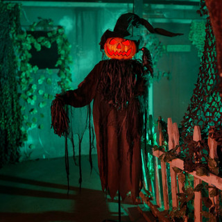 6-Ft. Standing Scarecrow Animatronic with Animated Crow