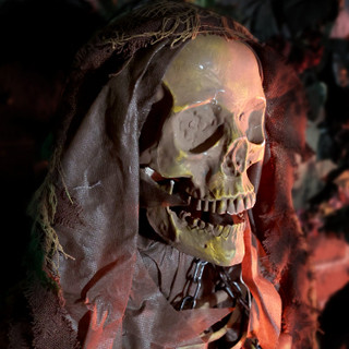 5.2-Ft. Standing Sonic Reaper Animatronic