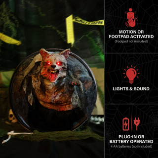 2-Ft. Zombie Raccoon Animatronic