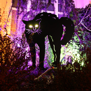 3-Ft. Metal Black Cat Decoration with LED Eyes for Indoors & Covered Outdoors, Battery Operated (3 AA)