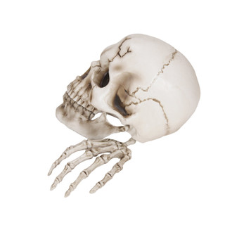 1.3-Ft. Giant Talking Skeleton with Hands
