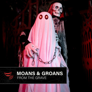 5.9-Ft. Standing Animated Reaper with Ghost Animatronic
