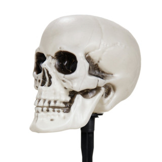 1-Ft. Skull Stakes with Lights, Set of 6
