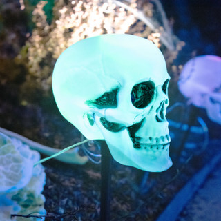 1-Ft. Skull Stakes with Lights, Set of 6