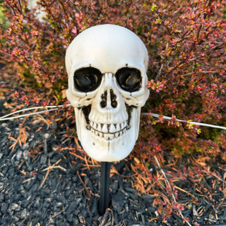 1-Ft. Skull Stakes with Lights, Set of 6