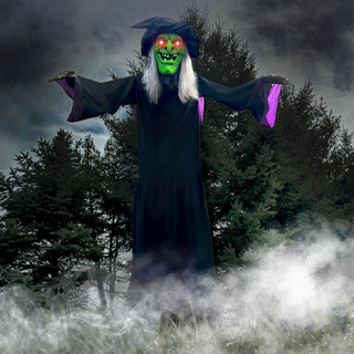 15.1-Ft. Animatronic Witch with Lights and Sound, Outdoor Halloween Decoration