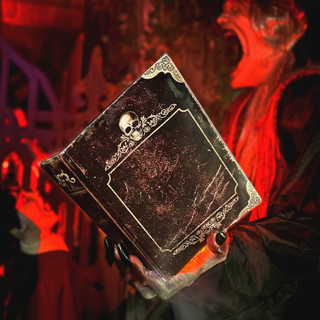 7-Ft. Motion-Sensor Soul Harvester Halloween Animatronic by Tekky