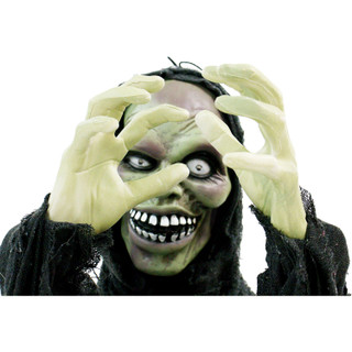 Haunted Hill Farm Pop-Up Animatronic Poseable Ghoul with Flashing Red Eyes, 24 inches Garry