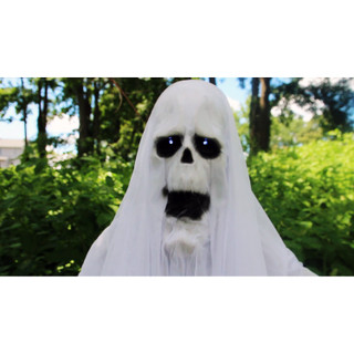 6-Ft. Animatronic Ghost with Lights and Sound, Indoor or Covered Outdoor Halloween Decoration