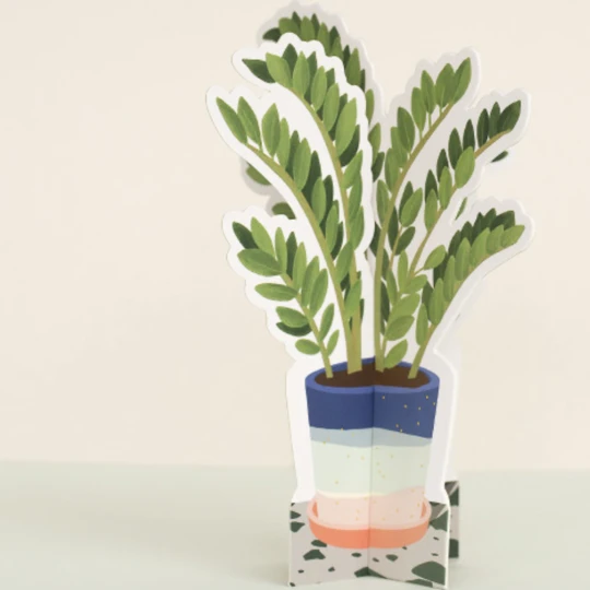 paper plants paper plants