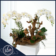 Eleva la Entrada de Tu Hogar Costero con un Impresionante Arreglo de Orquídeas y Madera Flotante