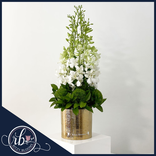white orchid arrangement in gold vase with green accents by Ritzy Blooms Fort Lauderdale.