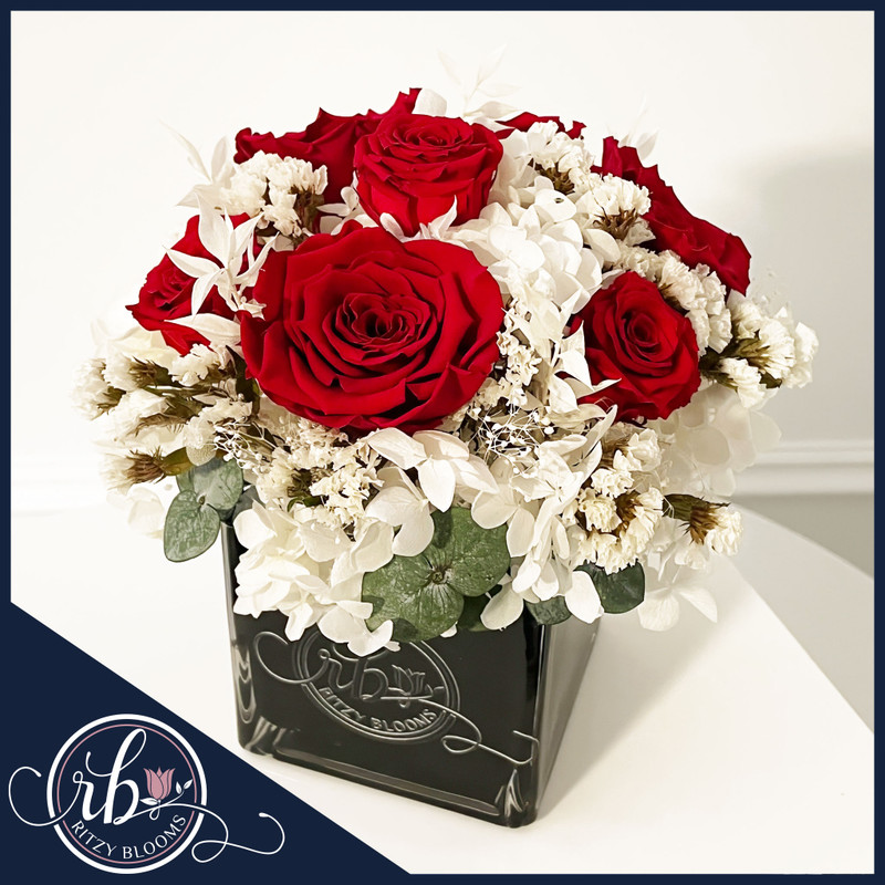 Eternal Ruby Elegance Preserved Rose Arrangement featuring ruby red preserved roses, white hydrangeas, and delicate fillers in a black Ritzy Blooms glass cube.