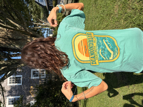 DB Wave Patch Tee-aqua