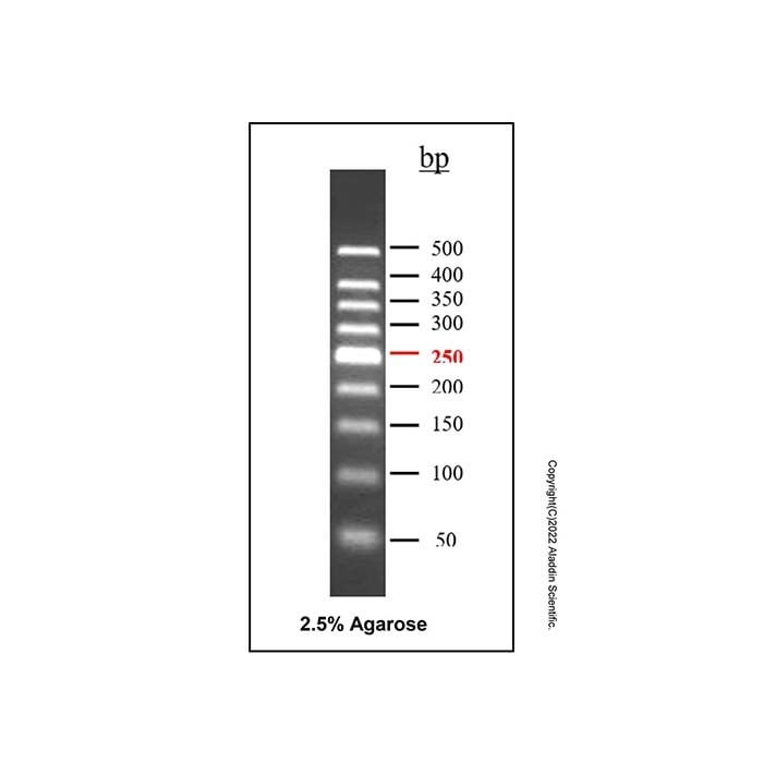 Dna Ladder (50 500Bp)