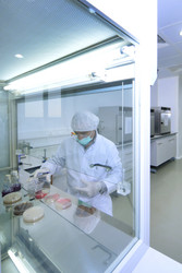 Selecting the Right Shield: How to Choose a Laboratory Fume Hood