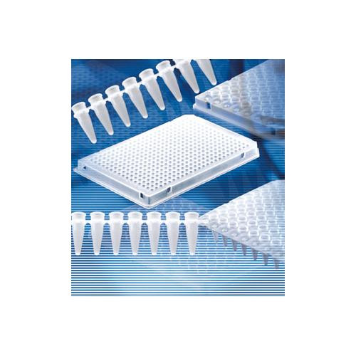 pcr plate, brand 24-well unskirted plate in a 3 x 8 well format, white