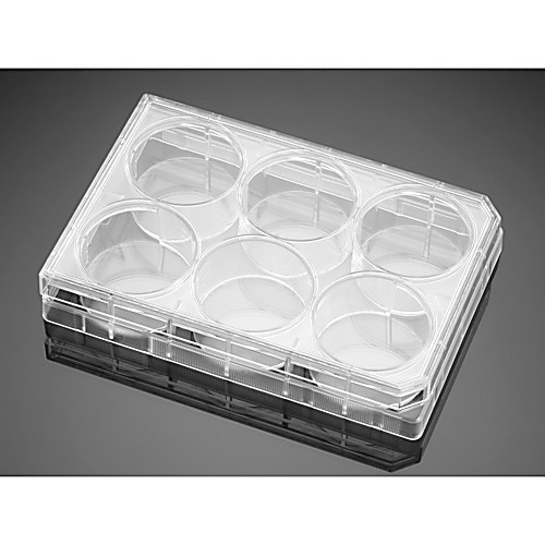 corningr biocoatt poly-d-lysine plates, 96 well