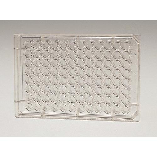 white cell culture plate 96 well, flat-bottom w / lid