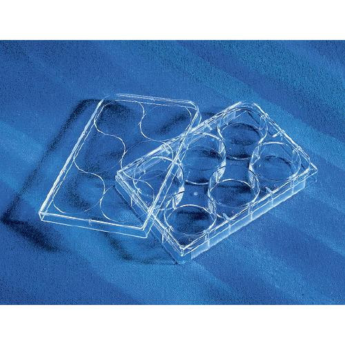 6-well microplate w / lid, sterile