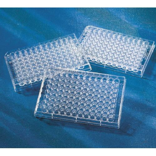 corning 96 well clear round bottom tc-treated microplate, 25 per bag, without lid, sterile