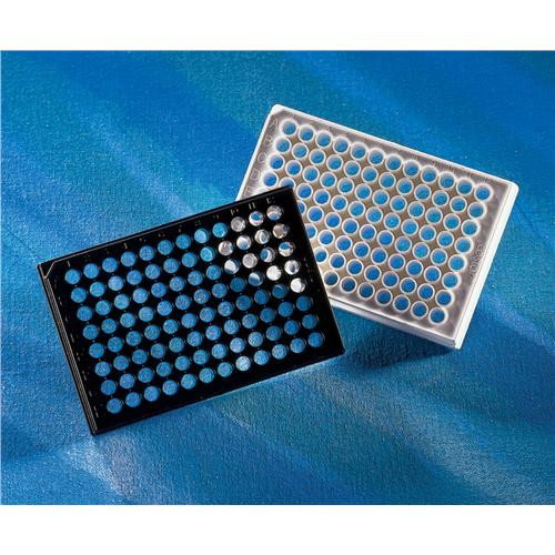 optical plate, 96 well, black, non-treated, non-sterile