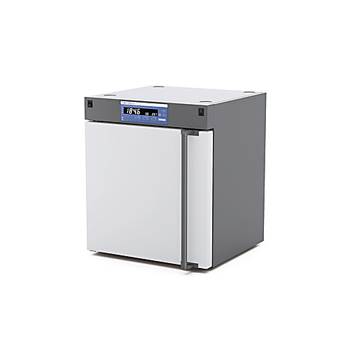 ika oven 125 basic dry - glass door, 100-115v