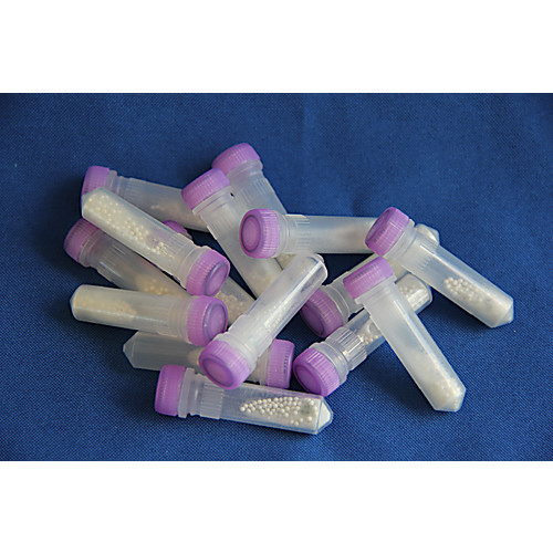 lysing matrix e, 2 ml tube, pack of 50
