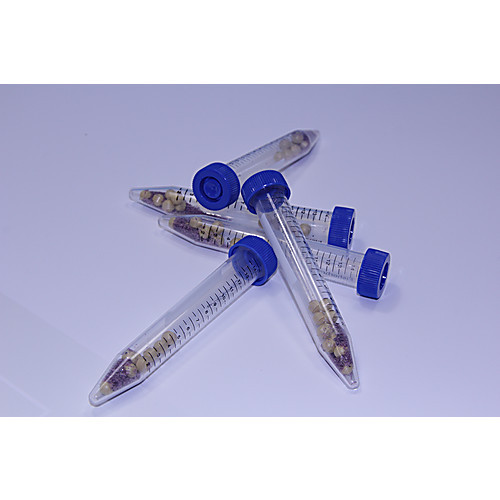 lysing matrix a, 25 x 15ml tubes