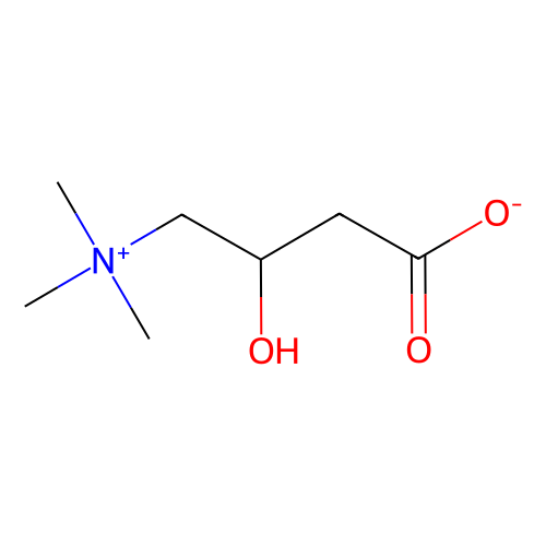 l(-)-carnitine (c09-0794-495)