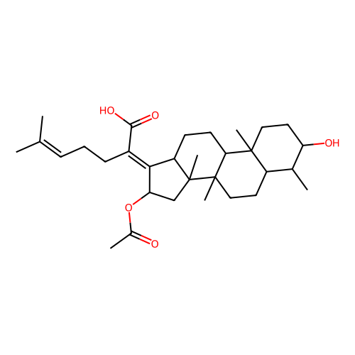 11-deoxy fusidic acid