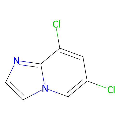 6,8-dichloroimidazo[1,2-a]pyridine (c09-0863-623)