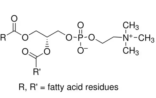 lecithin (c09-0931-347)