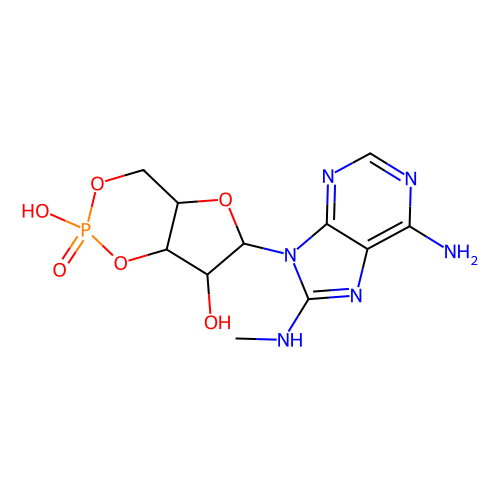 8-ma-camp