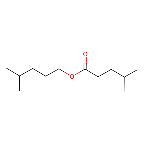 4-methylpentyl 4-methylvalerate (c09-0968-619)