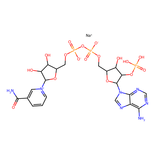 β-nadp-na(nadp) (c09-0983-249)