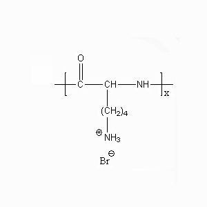poly-d-lysine hydrobromide (c09-1019-792)
