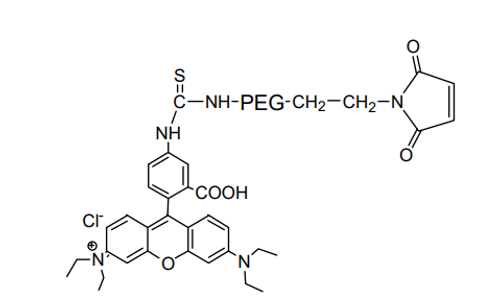 rhodamine peg maleimide (c09-1024-509)