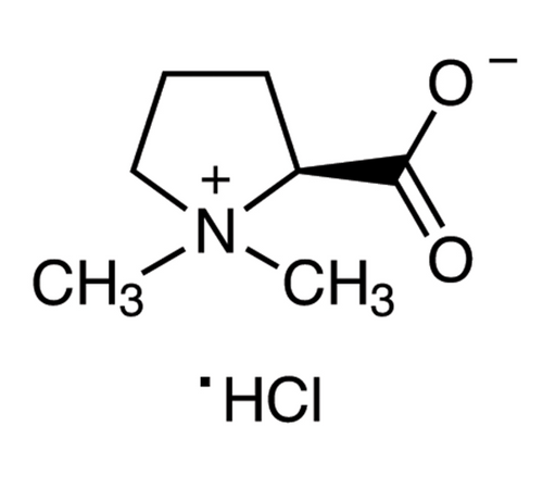 stachydrine hydrochloride (c09-1032-069)