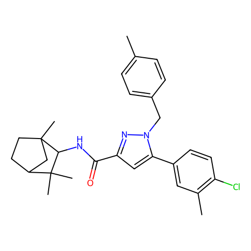 sr144528 (c09-1038-491)
