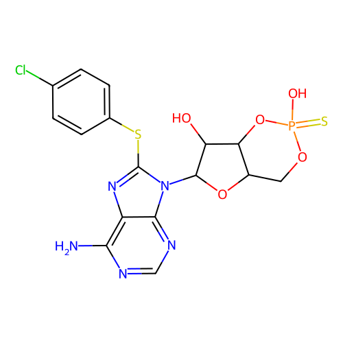 sp-8-pcpt-camps