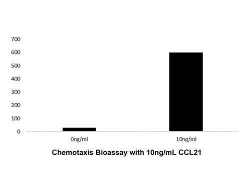 recombinant human ccl21 protein (c09-1095-454)