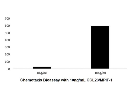 recombinant human ccl23/mpif-1 protein (c09-1095-460)