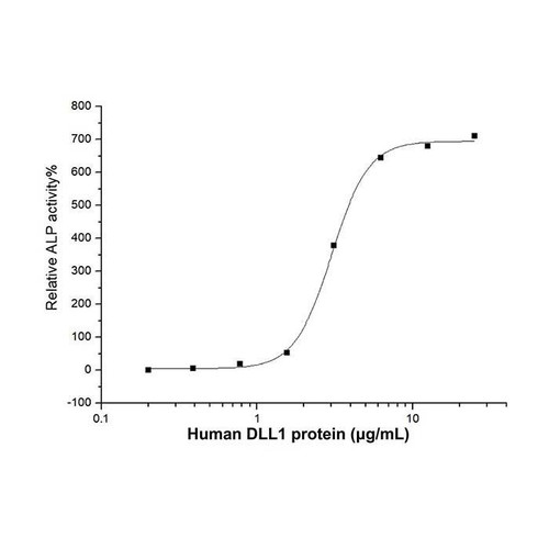 recombinant human dll1 protein (c09-1095-532)