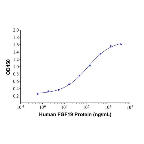 recombinant human fgf19 protein (c09-1095-578)