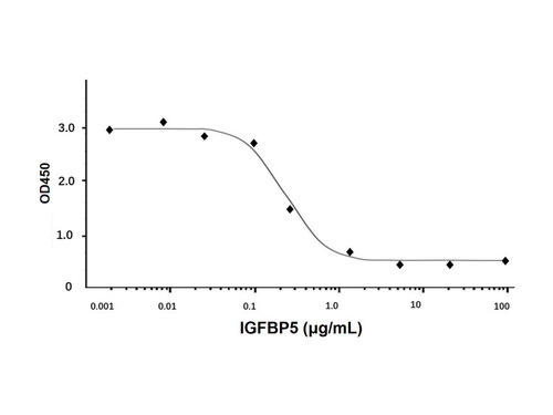 recombinant human igfbp5 protein (c09-1095-647)