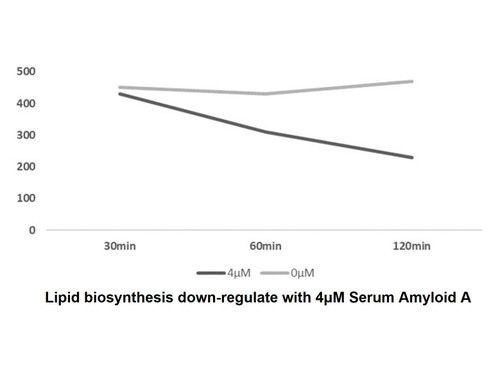 recombinant human serum amyloid a protein (c09-1095-815)
